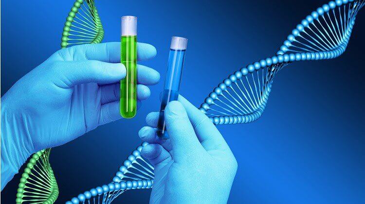 Chemist hands holding test tubes, DNA helix model background
