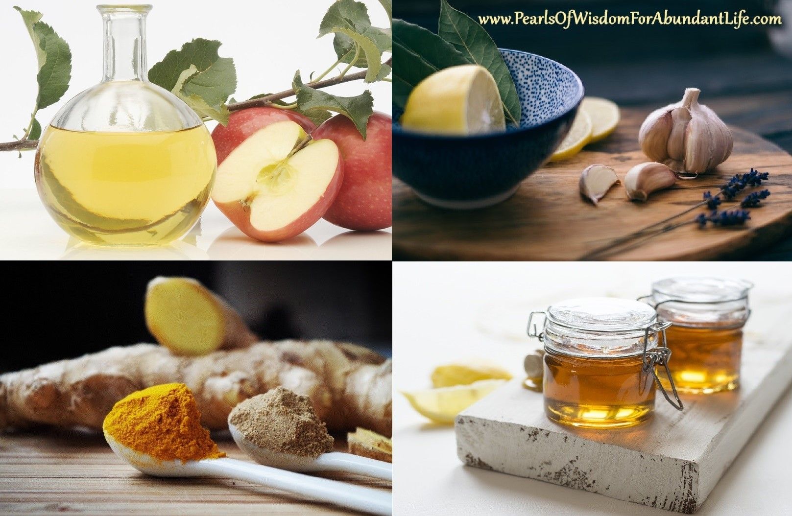 4 Photographs of Apple Cider Vinegar, Lemon, Honey, Garlic, Ginger, Turmeric