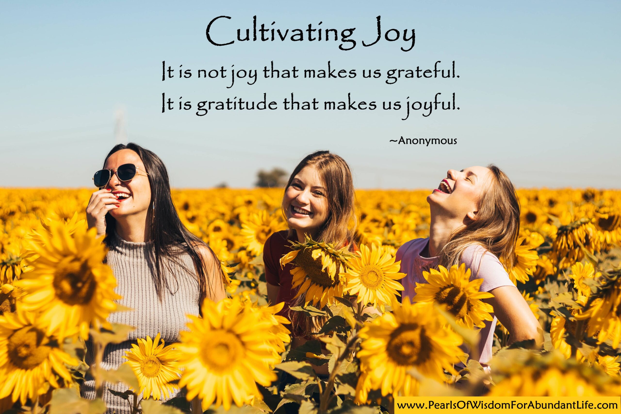 Three Young Women Laughing Amongst Sunflowers